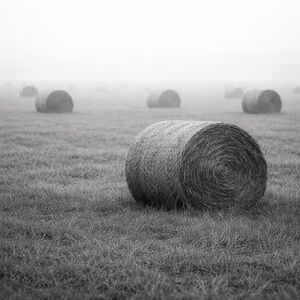 Black and White Hay Bale Art Photo Print 8x10 Gloss